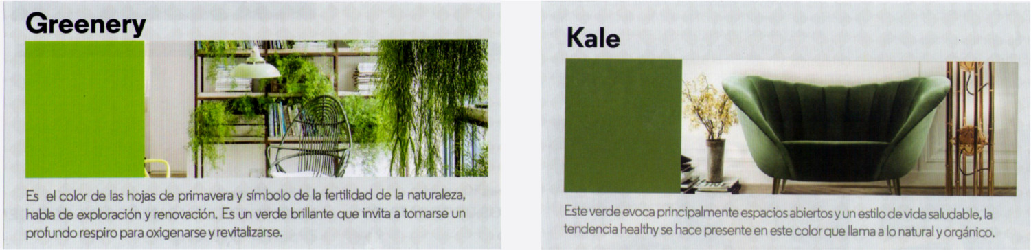  Tonos Greenery y Kale