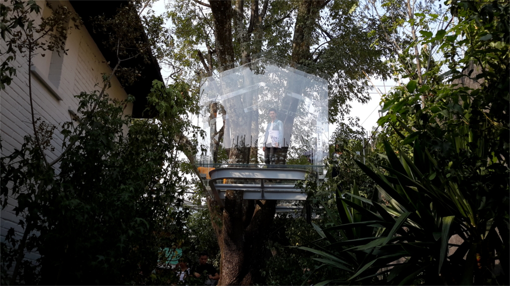 Casita de cristal en el árbol