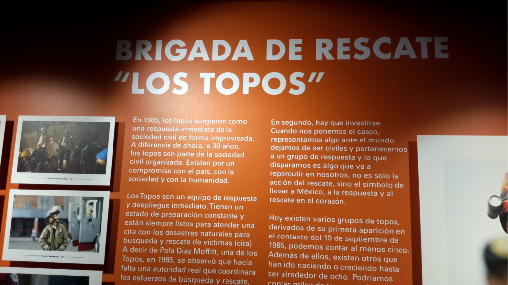 Brigada de Los Topos