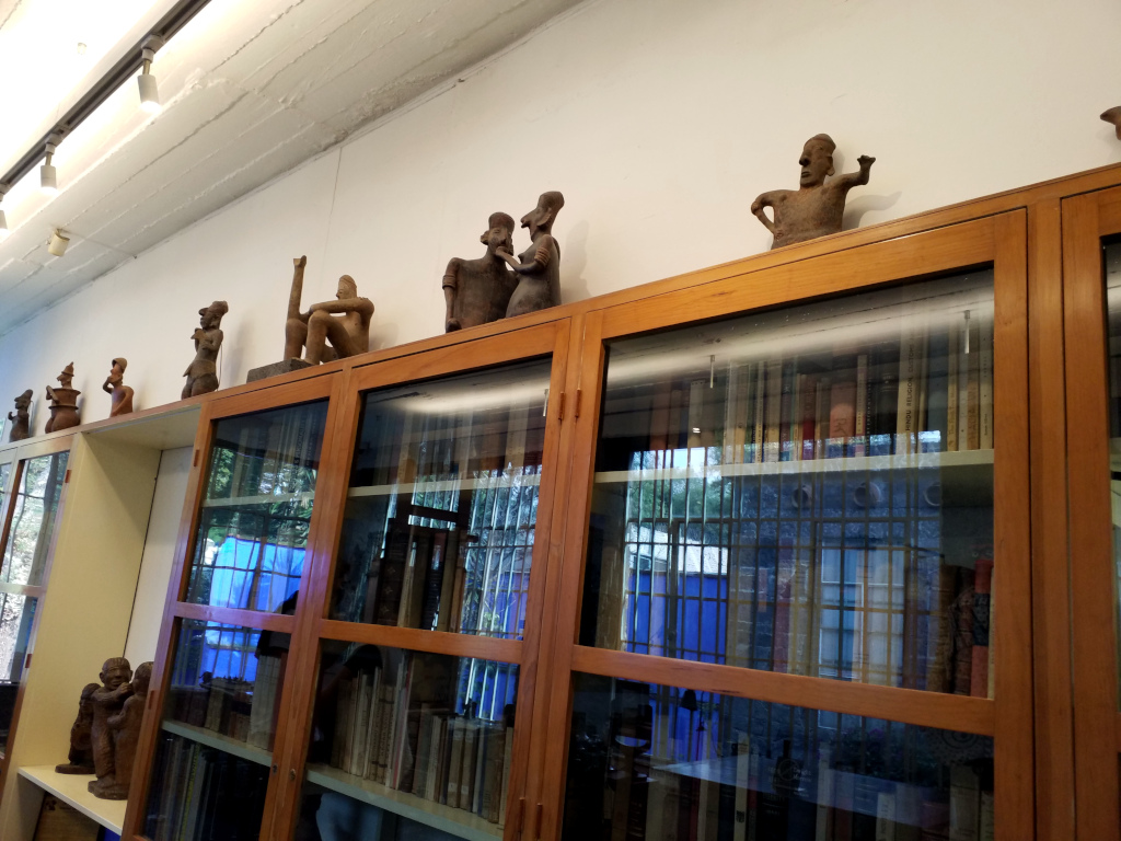 Biblioteca en la Casa Azul