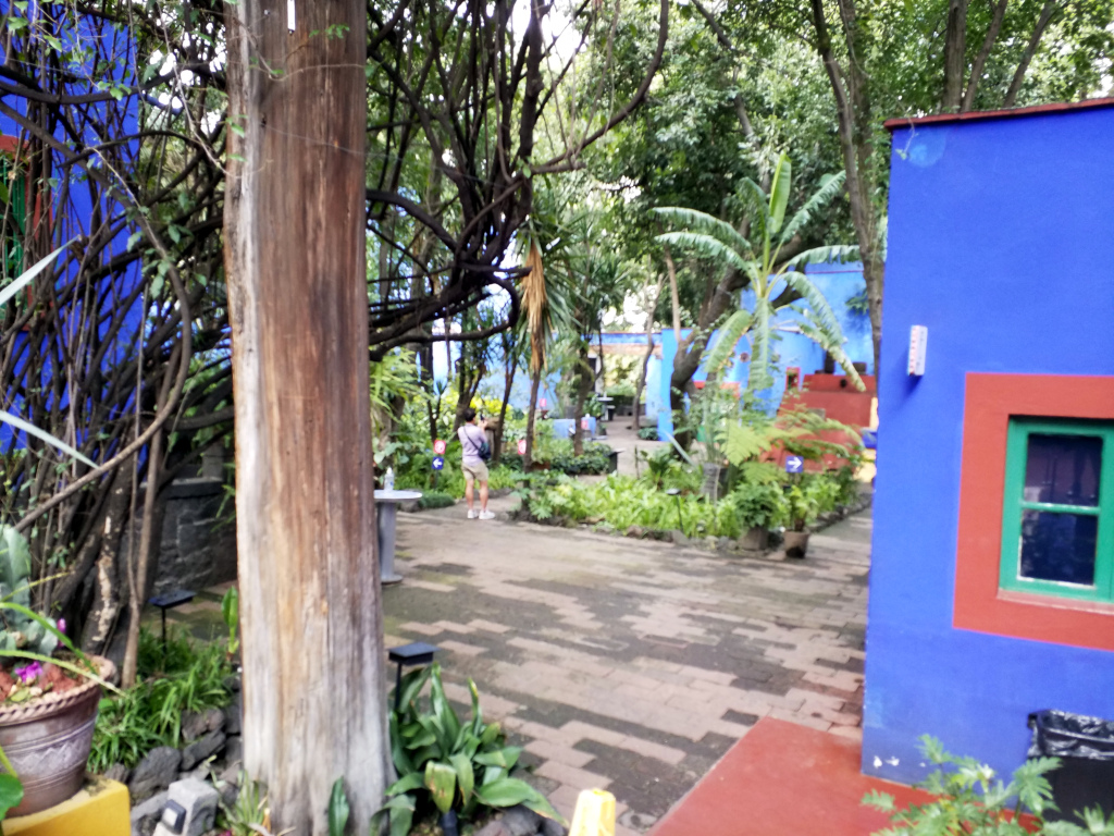 Jardin en la Casa Azul