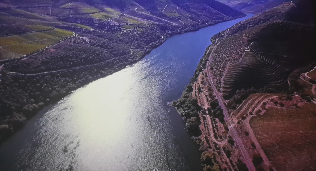 Viñedos a lo largo del río Douro