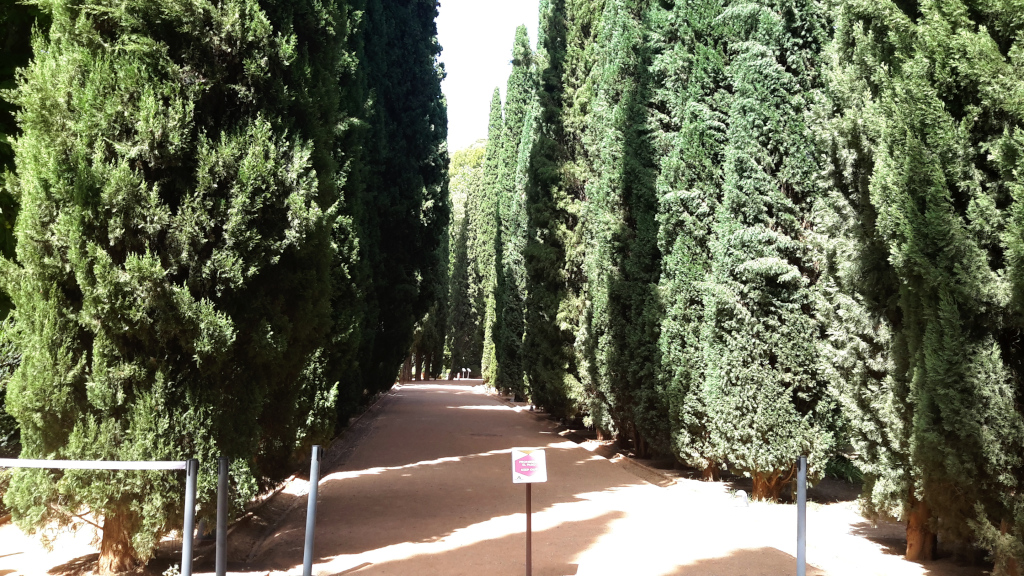 Jardines en La Alhambra