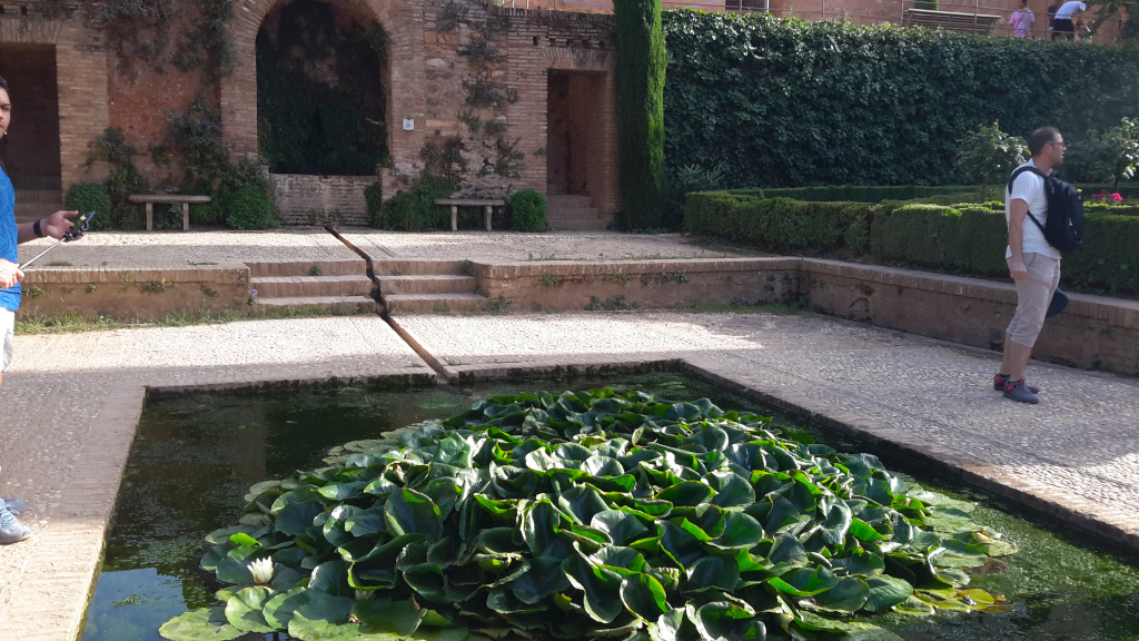 Aspectos de La Alhambra