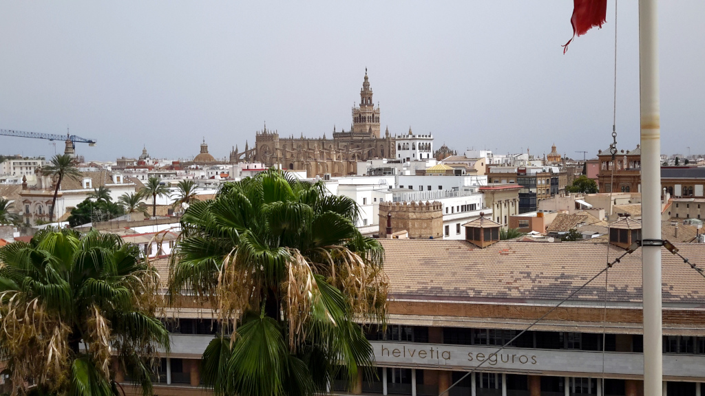 Vista desde la terraza de la Torre del Oro