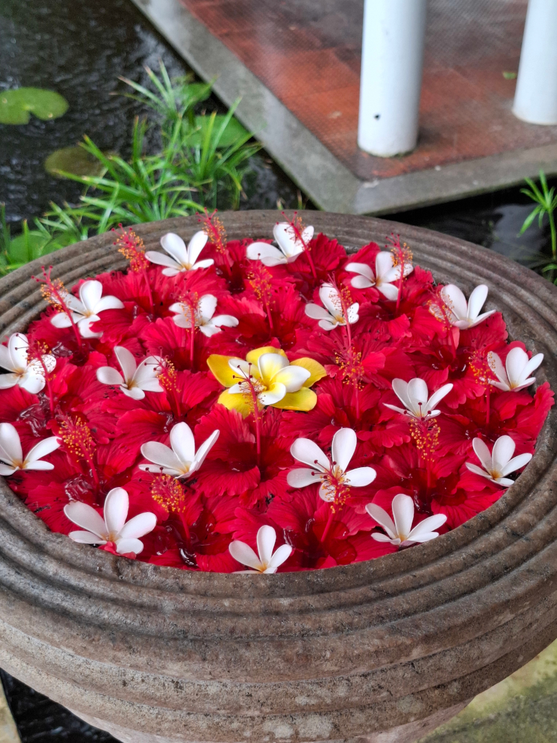 Mandala de flores rojas
