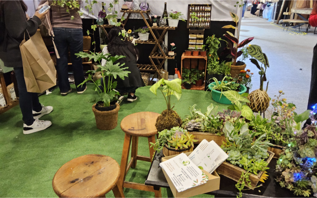 Macetas con plantas naturales