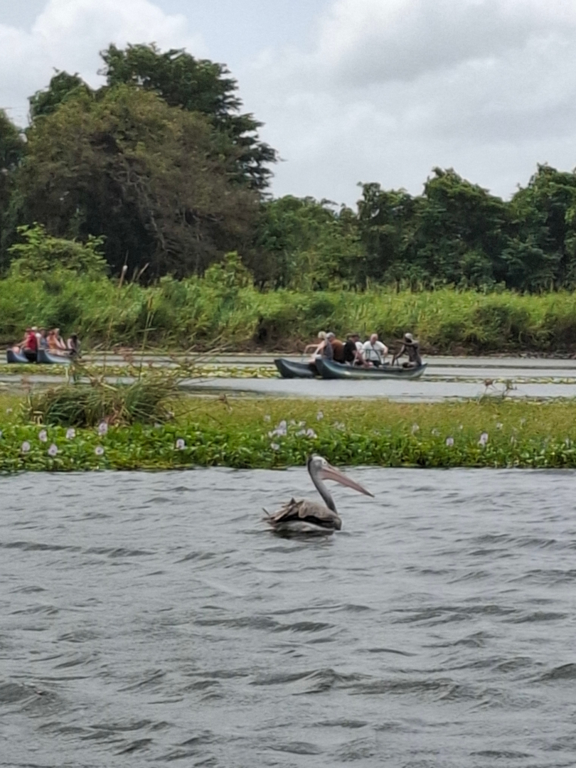Paisaje de Sri Lanka