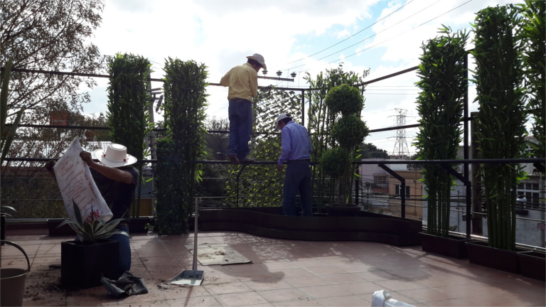 Proyecto Roof Garden. Vista Proceso